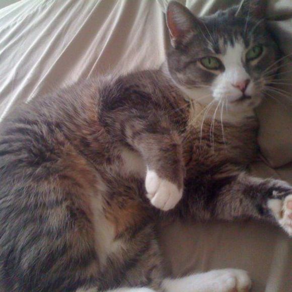 Meet your Posher, Brenda - Picture 1 of 1